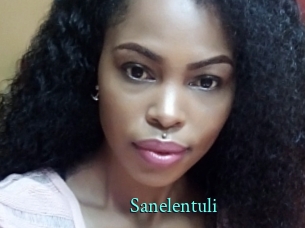 sanelentuli xxx Fantasy Land