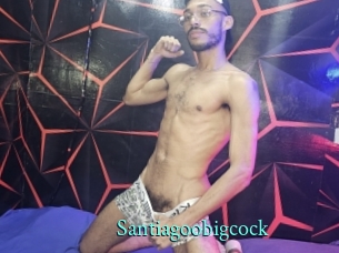 Santiagoobigcock