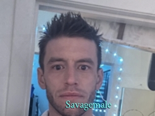 savagemale xxx Fantasy Land