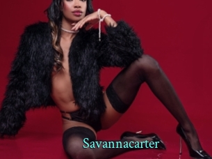 savannacarter xxx Fantasy Land