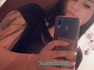 Scarlethrush