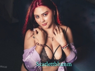 Scarlettblumm