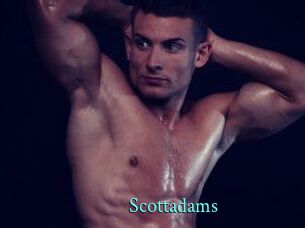 Scottadams