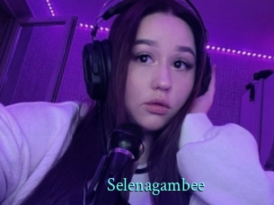 Selenagambee
