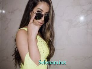 Selenaminx