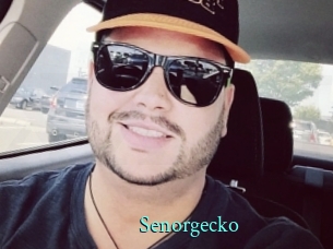 senorgecko xxx Fantasy Land