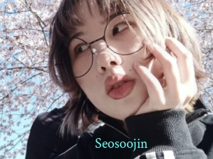Seosoojin