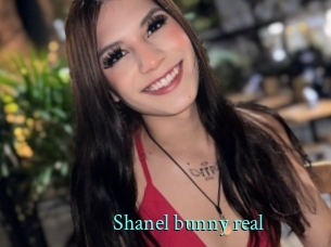 Shanel_bunny_real