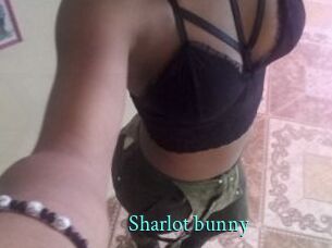 Sharlot_bunny
