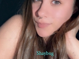 Shaybug