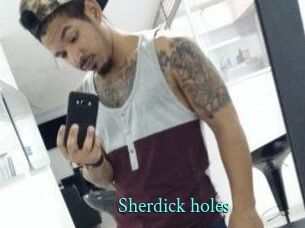 Sherdick_holes