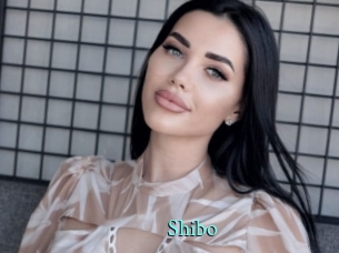 Shibo