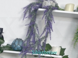 Sibleyberner