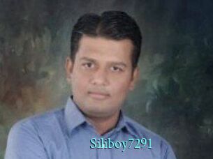 Siliboy7291