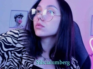 Silicialumberg