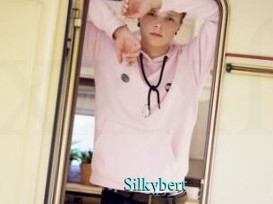 Silkybert