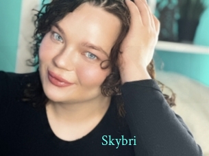 Skybri