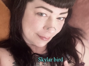 Skylar_bird