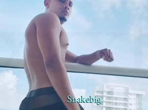 snakebig xxx Fantasy Land