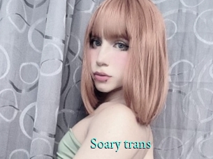 Soary_trans