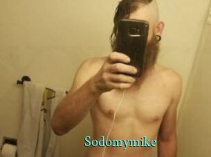 Sodomymike