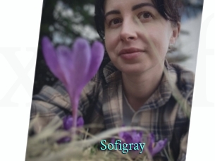 Sofi_gray