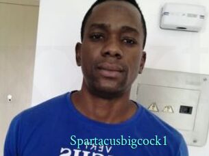 Spartacusbigcock1
