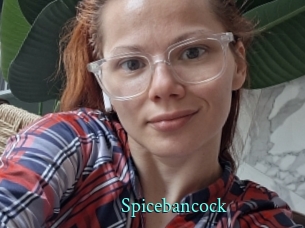 Spicebancock