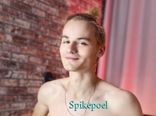 Spikepoel