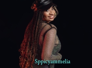 Sppicyammelia