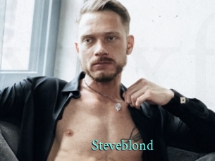 steveblond xxx Fantasy Land