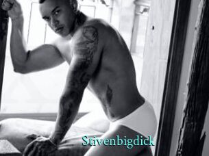 Stivenbigdick