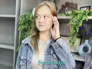 Synnefugler