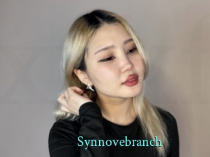 Synnovebranch