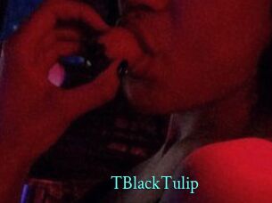 TBlackTulip