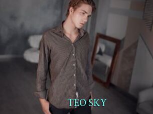 TEO_SKY