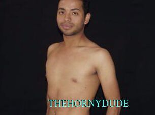THEHORNYDUDE