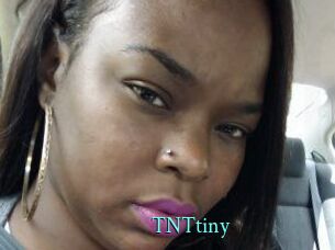 T_N_Ttiny