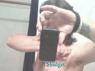 TSFidget