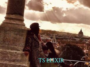 TS_ELIXIR