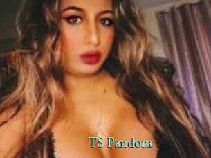 TS_Pandora