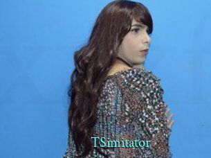 TSimitator