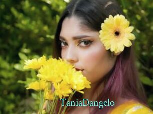 TaniaDangelo
