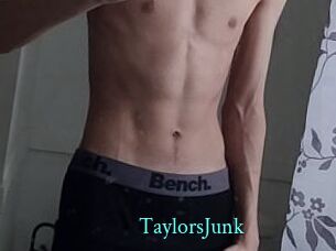 TaylorsJunk