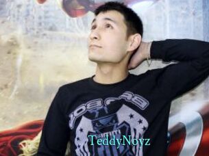TeddyNoyz
