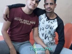 Tegusta29xx