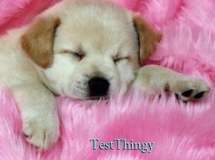 TestThingy