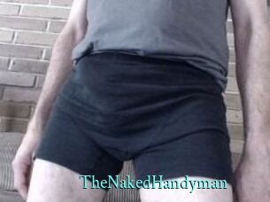 TheNakedHandyman