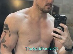 TheSolidSnake23