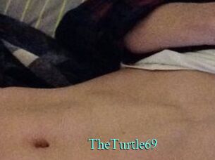 TheTurtle69